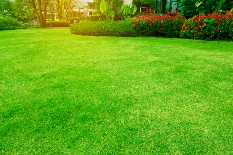 Lawn and Turf Installations