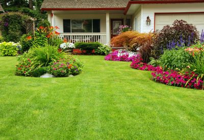 Small Yard Landscaping