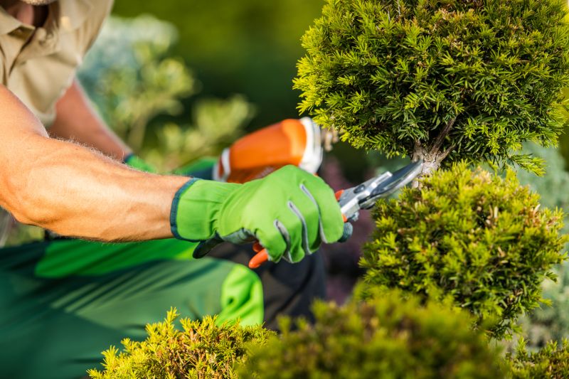 Seasonal Landscaping Maintenance