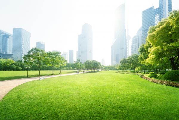 Commercial Landscape Maintenance in Johnstown