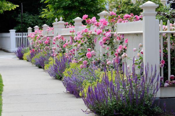 Garden Handyman Service in Johnstown