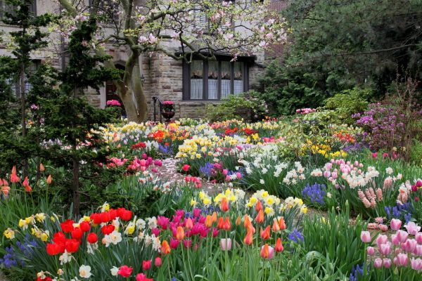 Garden Maintenance Service in Johnstown