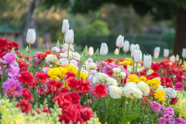 Gardening Service in Johnstown