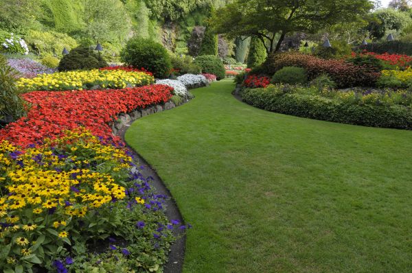 Landscaping Maintenance in Johnstown