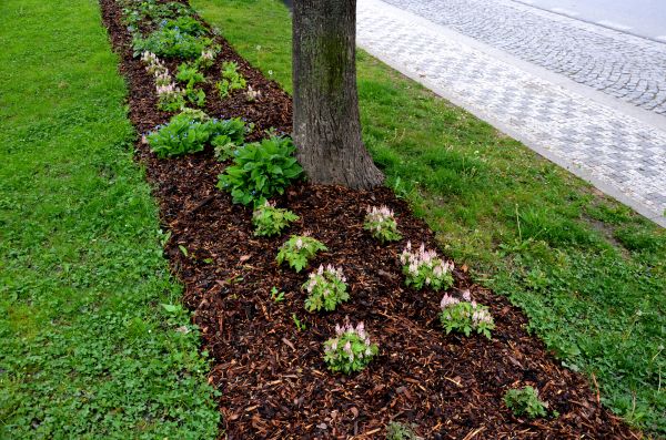 Mulch Replacement Service in Johnstown