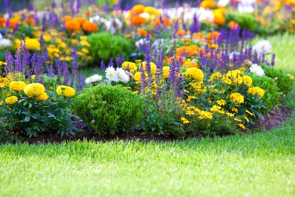 Garden Installation in Johnstown