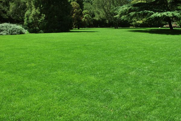 Lawn Landscaping in Johnstown