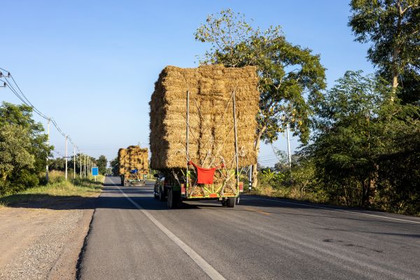 Pine Straw Delivery in Johnstown