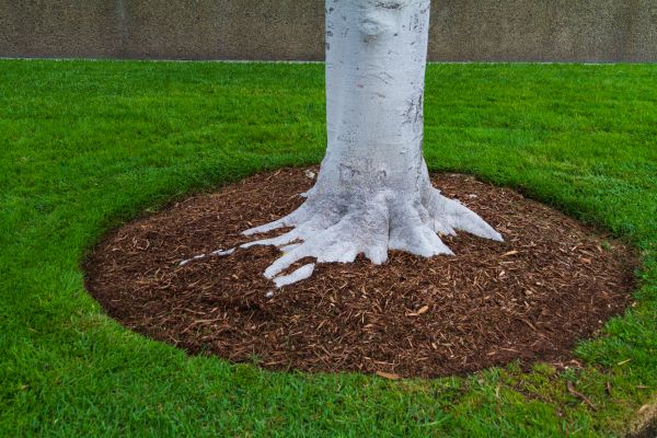 Brown Mulch Installation in Johnstown