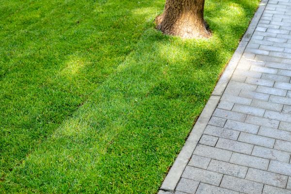 Border Stone Installation in Johnstown