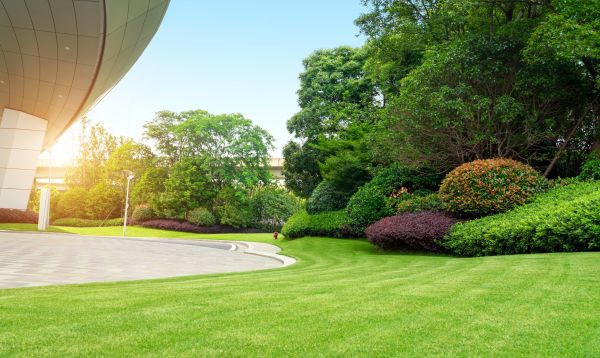 Business Landscape Design in Johnstown