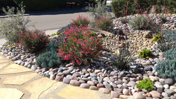 Xeriscape Landscaping in Johnstown