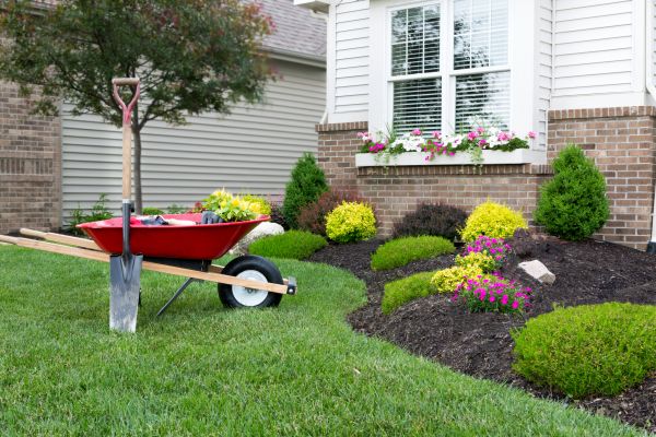 Tree And Shrub Planting in Johnstown