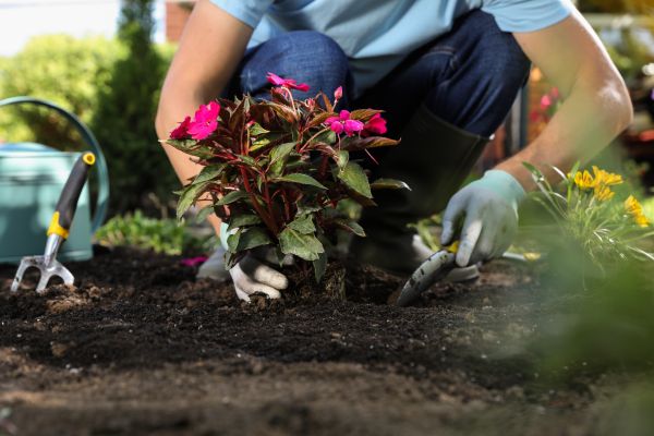 Plant Installation in Johnstown