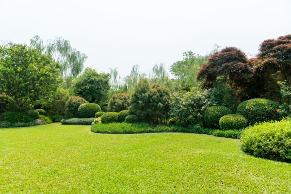 Tree Landscaping in Johnstown