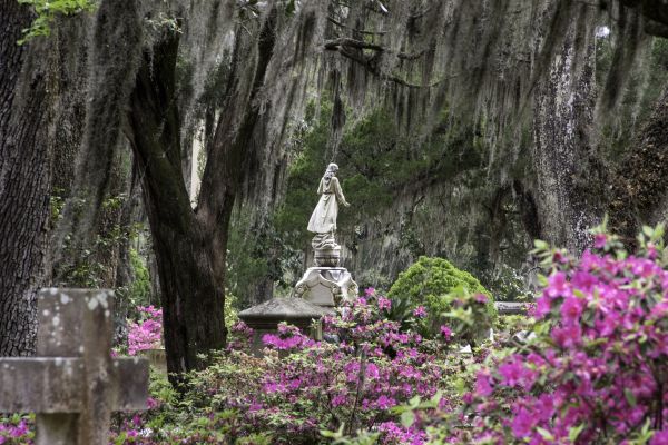 Cemetery Landscaping in Johnstown