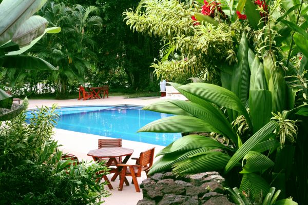 Tropical Garden Landscaping in Johnstown