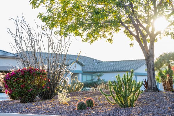 Dryscape Landscaping in Johnstown