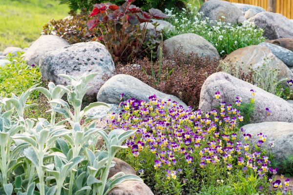 Rock Garden Installation in Johnstown