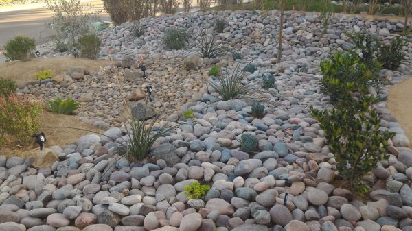 Yard Xeriscaping in Johnstown