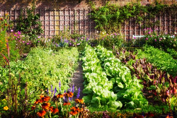 Garden Planting Service in Johnstown