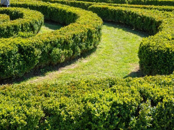 Bush Landscaping in Johnstown
