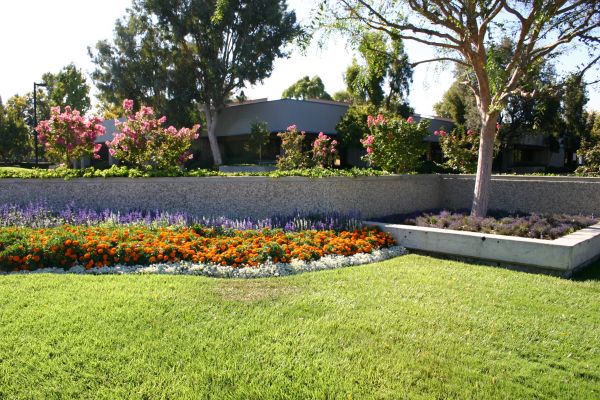 Commercial Landscape Service in Johnstown