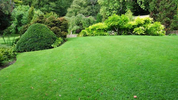 Commercial Landscape Design in Johnstown