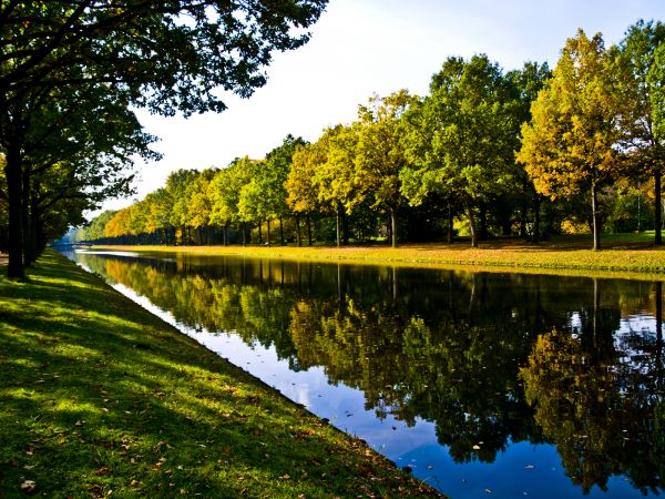 Bank Landscaping in Johnstown