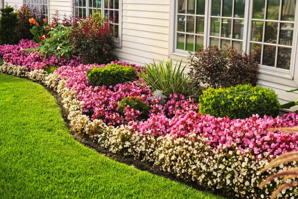 Garden Landscape Design in Johnstown