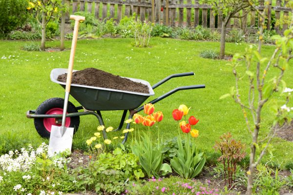 Spring Yard Renovation in Johnstown
