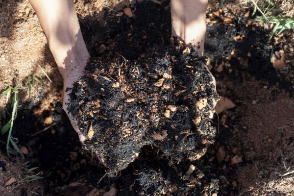 Organic Mulch Installation in Johnstown