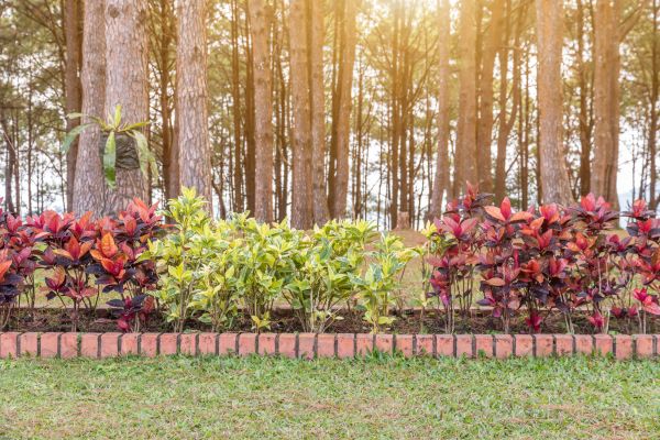 Small Garden Landscaping in Johnstown
