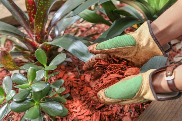 Residential Mulching in Johnstown