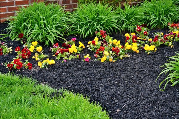 Apartment Mulching in Johnstown